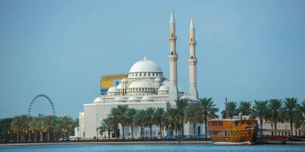 best stock to buy in uae
