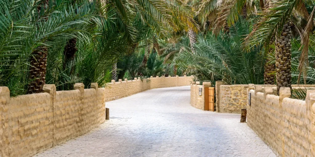 shop for rent in al ain