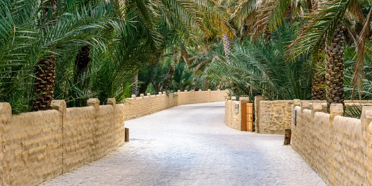 shop for rent in al ain